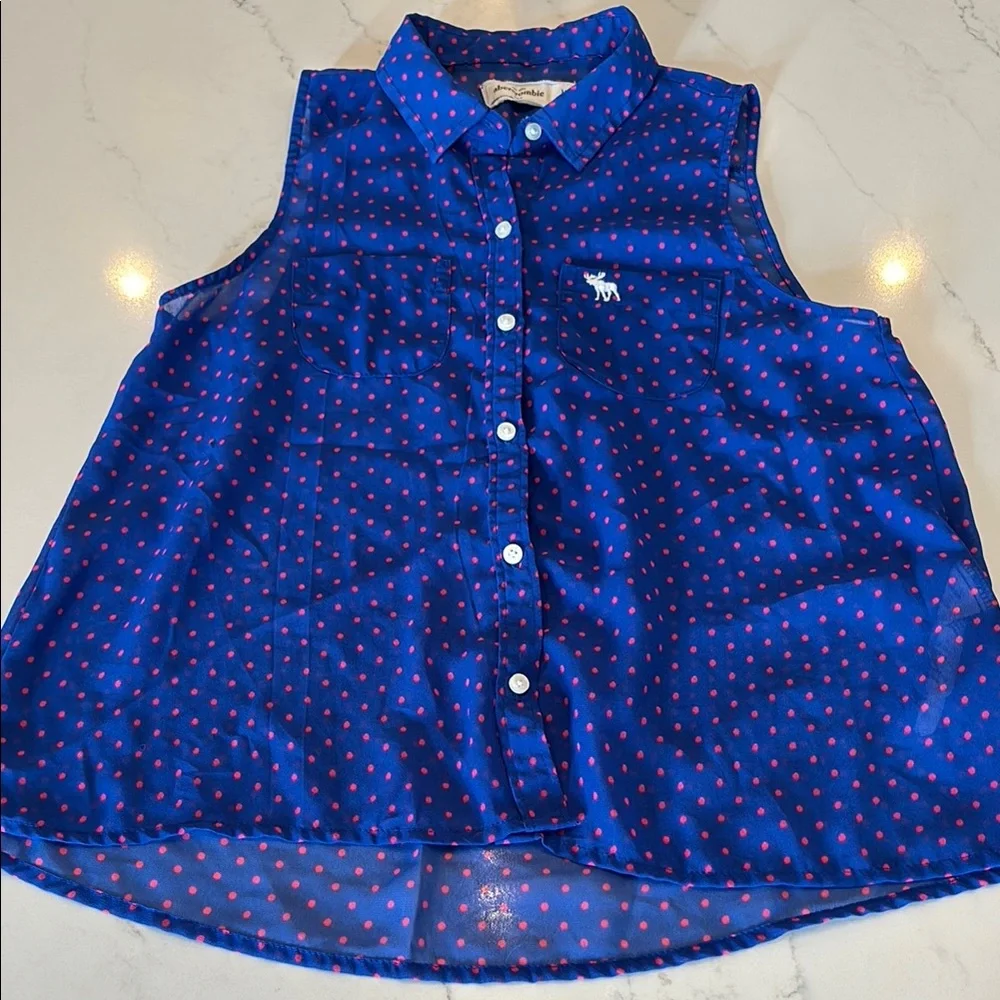 Abercrombie Kids Blue Button Down Shirt with Red Accents